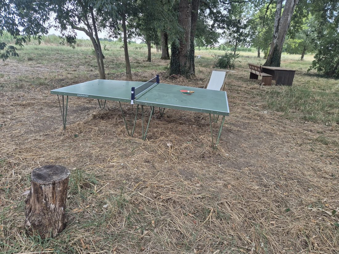 La table de ping-pong sous les grands arbres du parc, raquettes posées, transat et banc à proximité