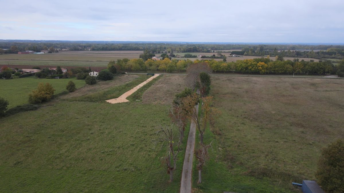Vue aérienne de l'allée du domaine filant droit vers la rangée de platanes du canal des Deux Mers
