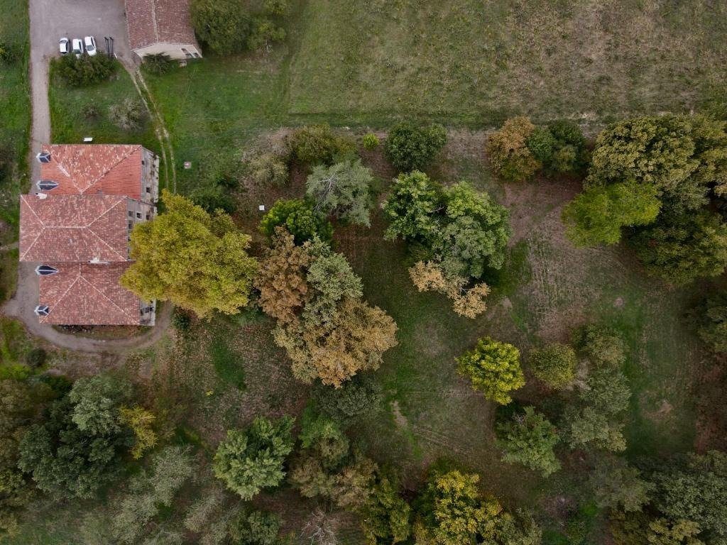Vue aérienne du domaine — les toits de tuiles roses de la maison et l'étendue du parc arboré